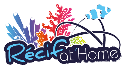 Recifathome