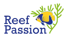 ReefPassion