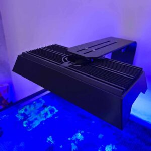 Reef Factory Reef Flare 'M' Shade