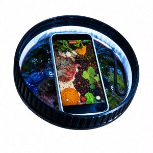 ReefPeek Coral Viewer