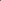 Neon Transparent Green